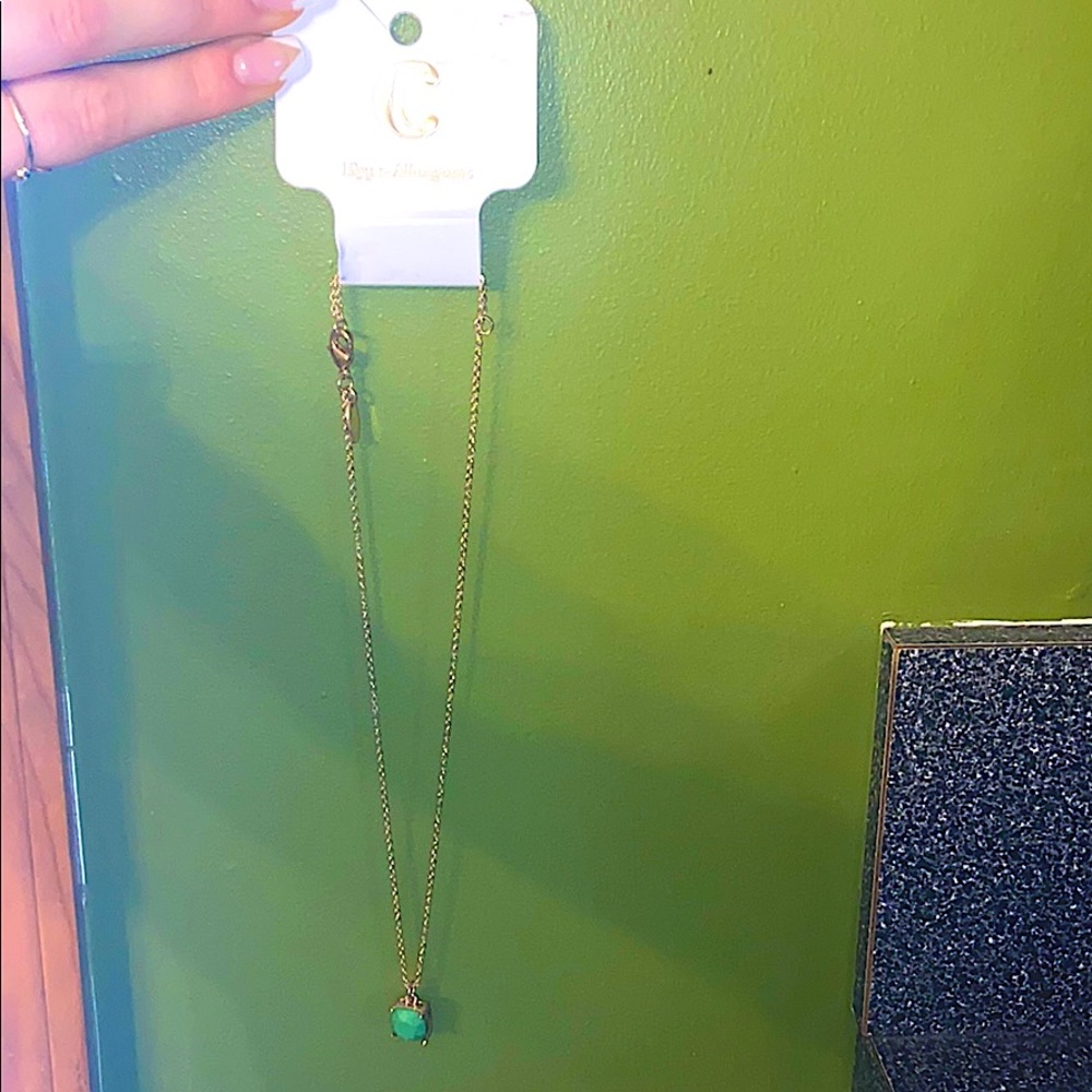 Charming Charlie’s necklace